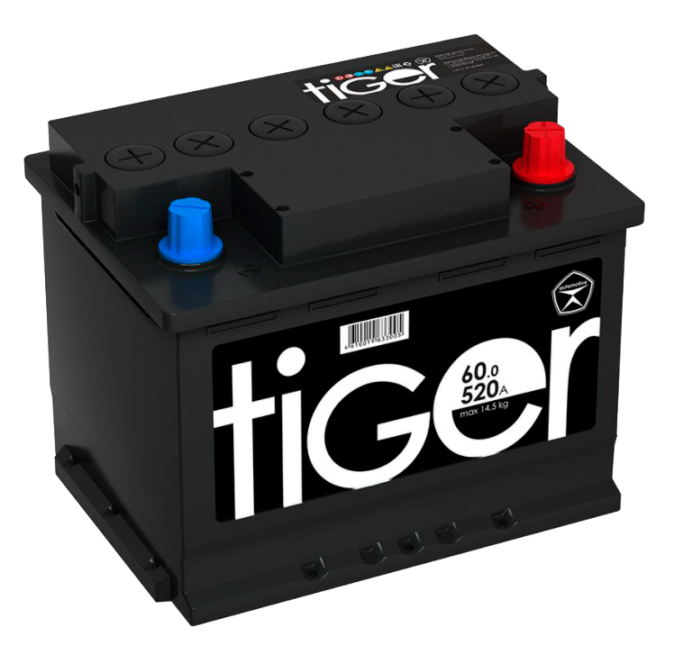 Аккумулятор Tiger 60 Ач ОП | Продажа, доставка и установка .